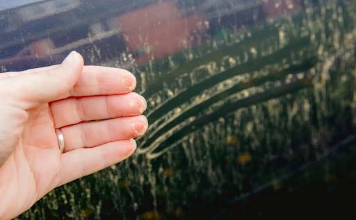 person-hand-showing-yellow-pollen-grains-pulled-from-car---Spark-Car-Wash